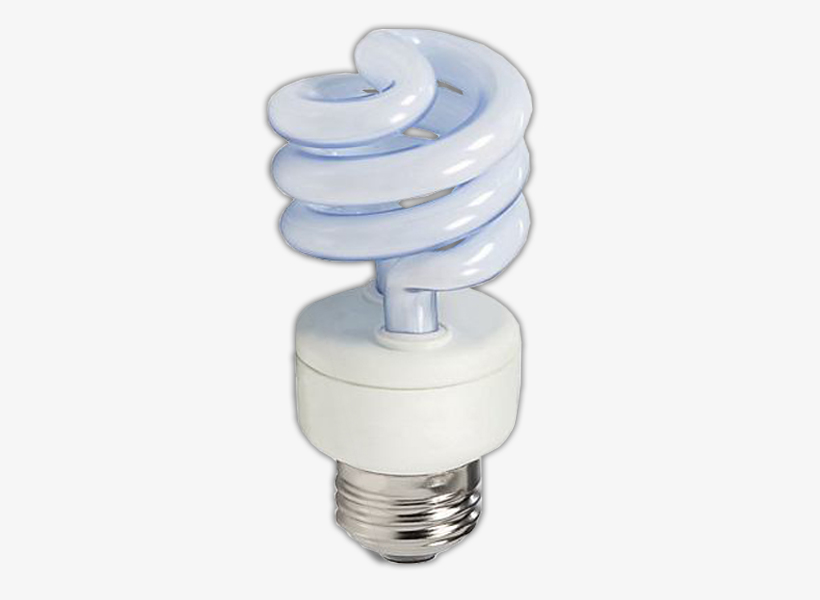 100 Watt Clear Bulb